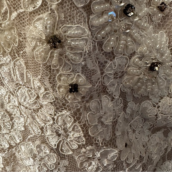 Wtoo Sisi Gown/11525 in Ivory Parisian Lace with Topaz Charmeuse Lining size 2 - Picture 7 of 15